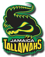 Team logo